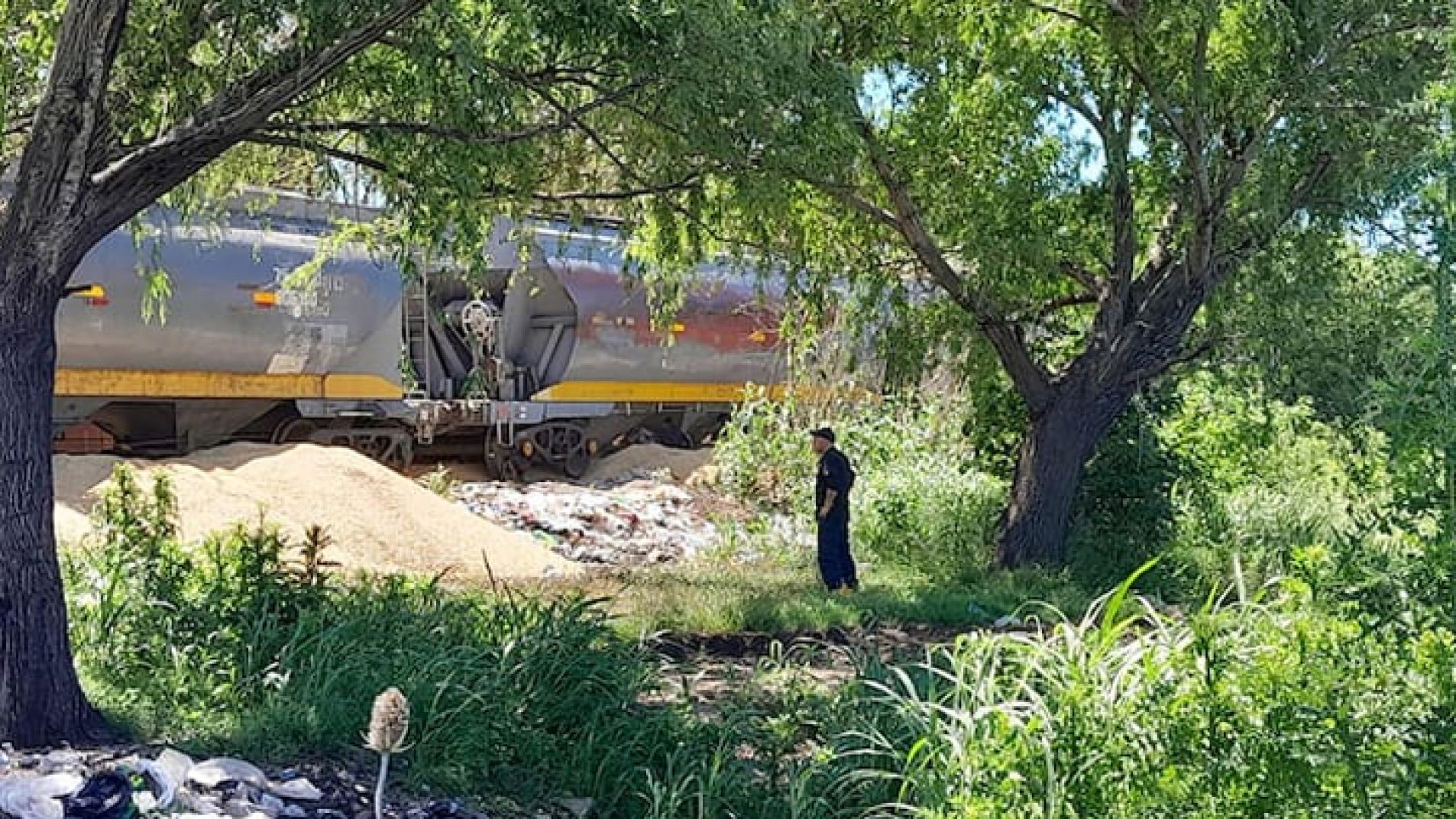 Emboscaron un tren de carga y robaron 1000 toneladas de soja